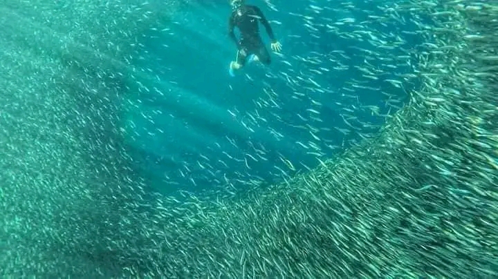 202206161319037698427_1653202448169.jpg