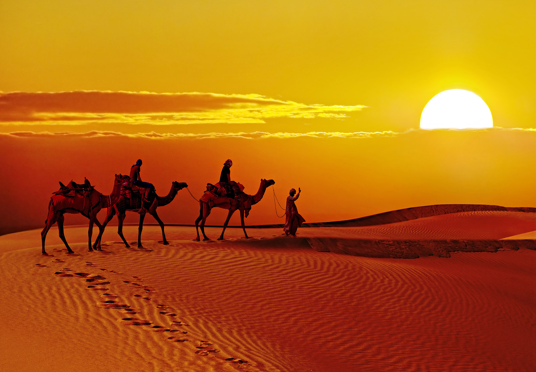 202510012339587490736_rajastan.jpg