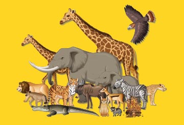 202206031319565549595_wildlife_package.jpg